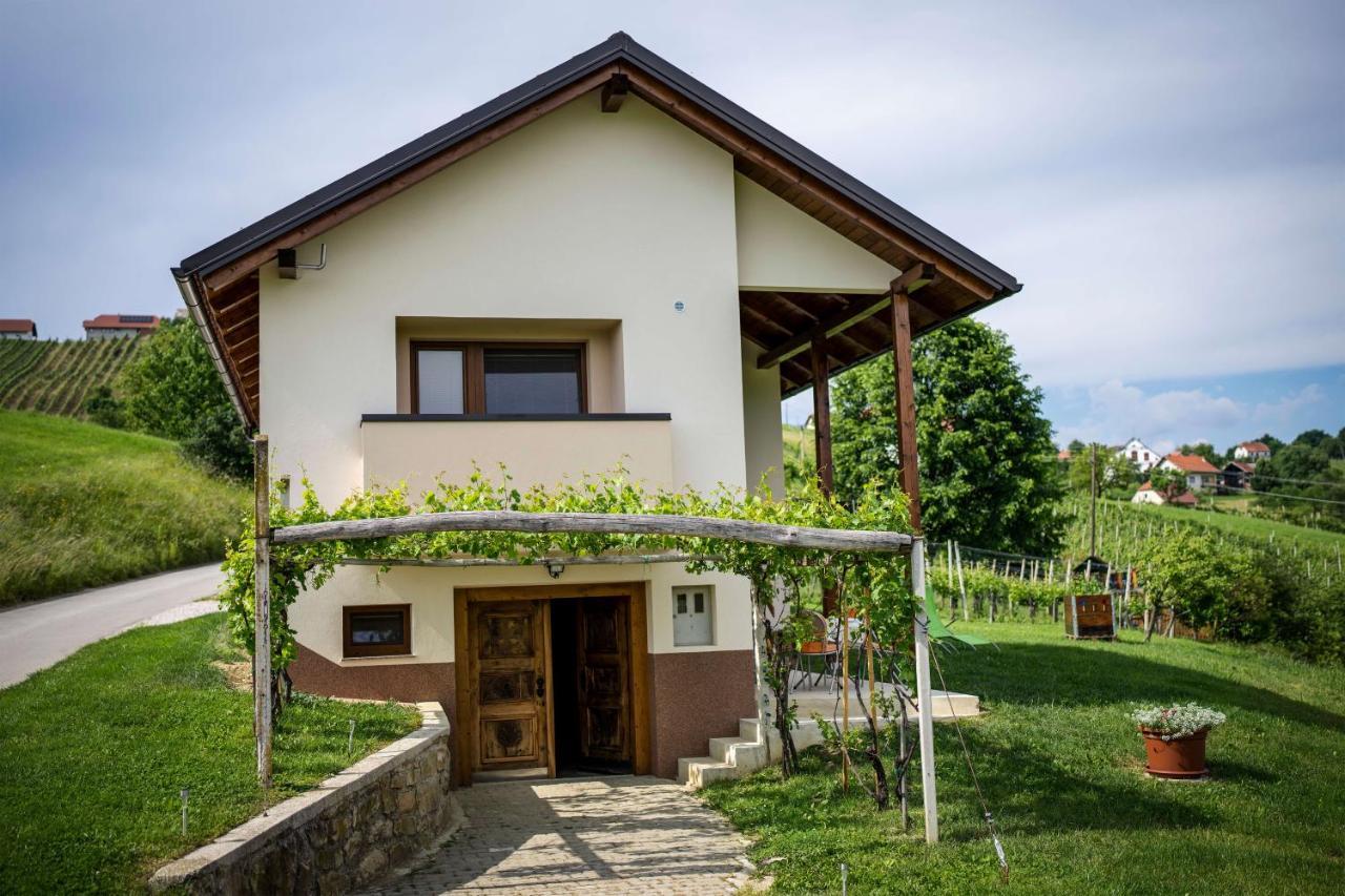 Holiday House Zlacka Gorca Pristava pri Mestinju Esterno foto