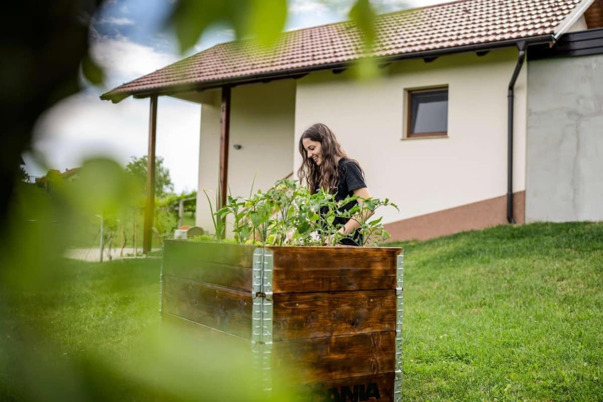 Holiday House Zlacka Gorca Pristava pri Mestinju Esterno foto